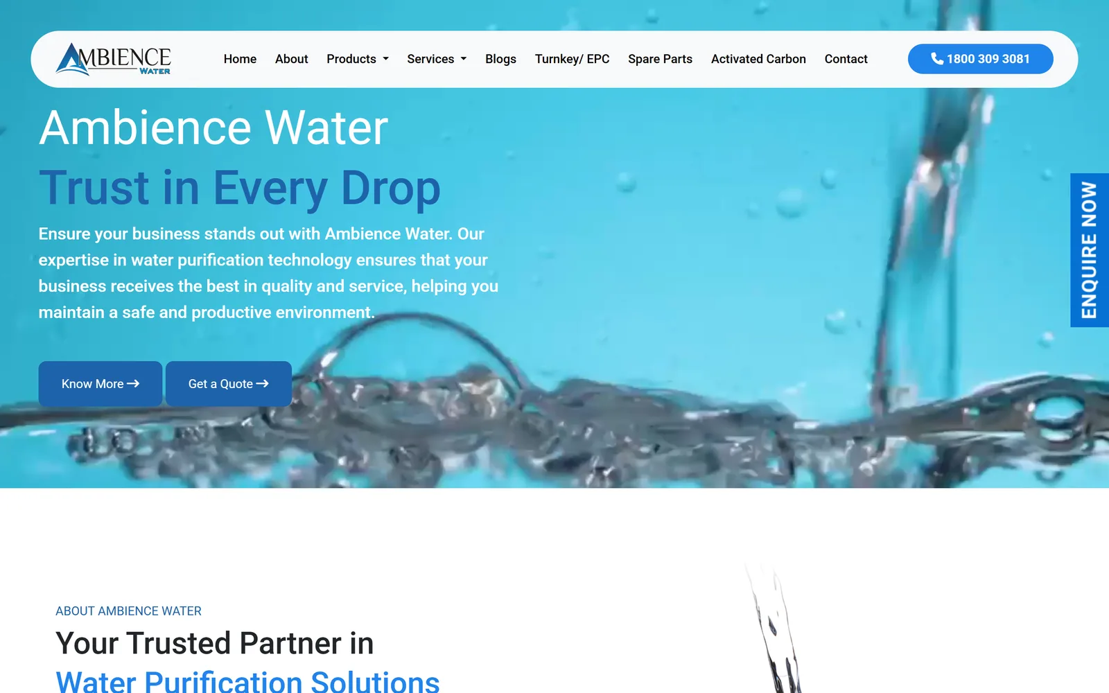 Front page of the Ambience Water website